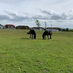 Apartmán Ostseebrise Im *