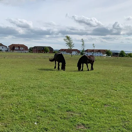 Apartament Ostseebrise Im *