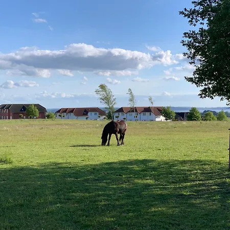 Ostseebrise Im Sagard